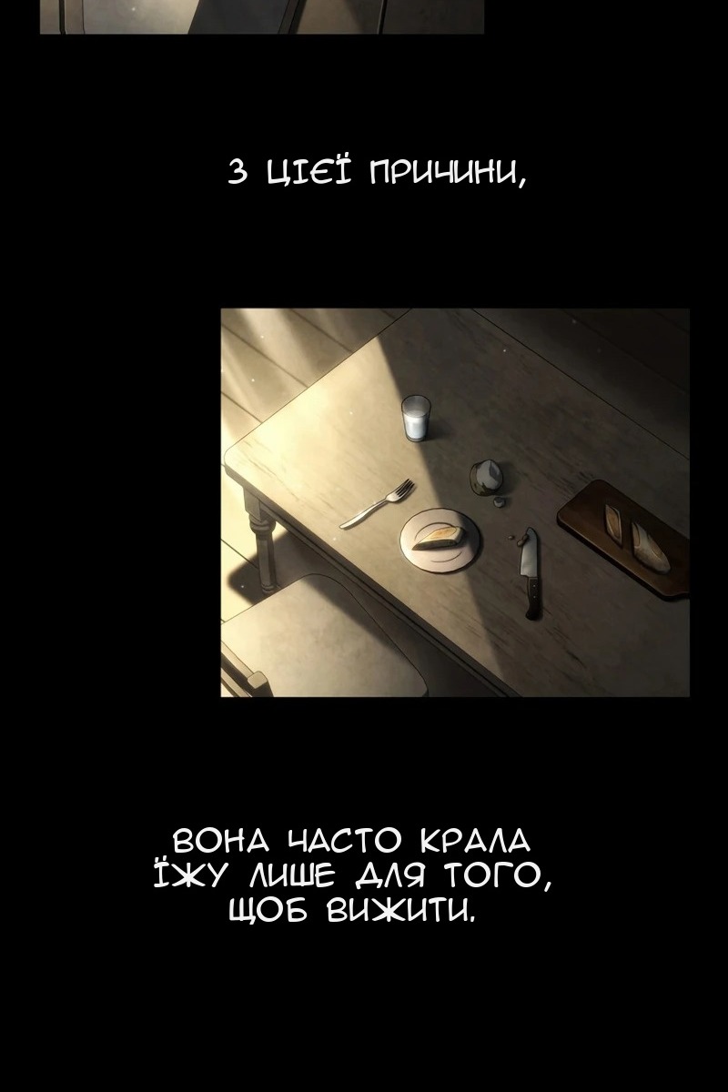 Сторінка 29