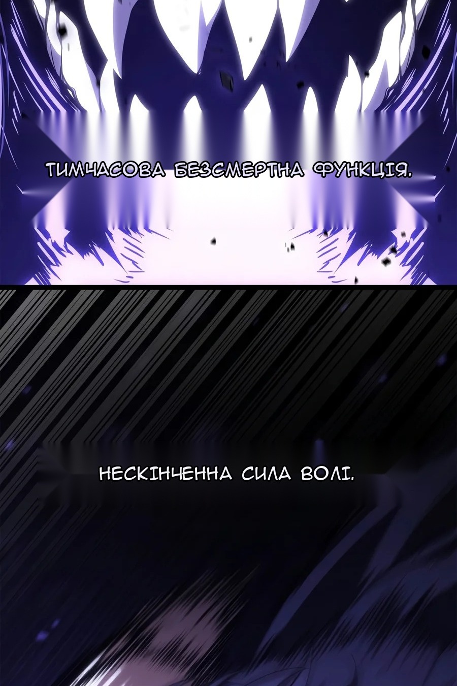 Сторінка 111