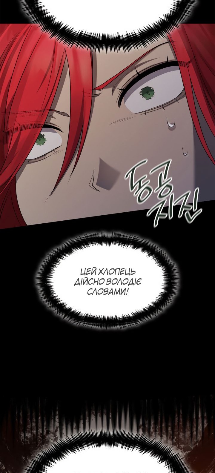 Сторінка 31