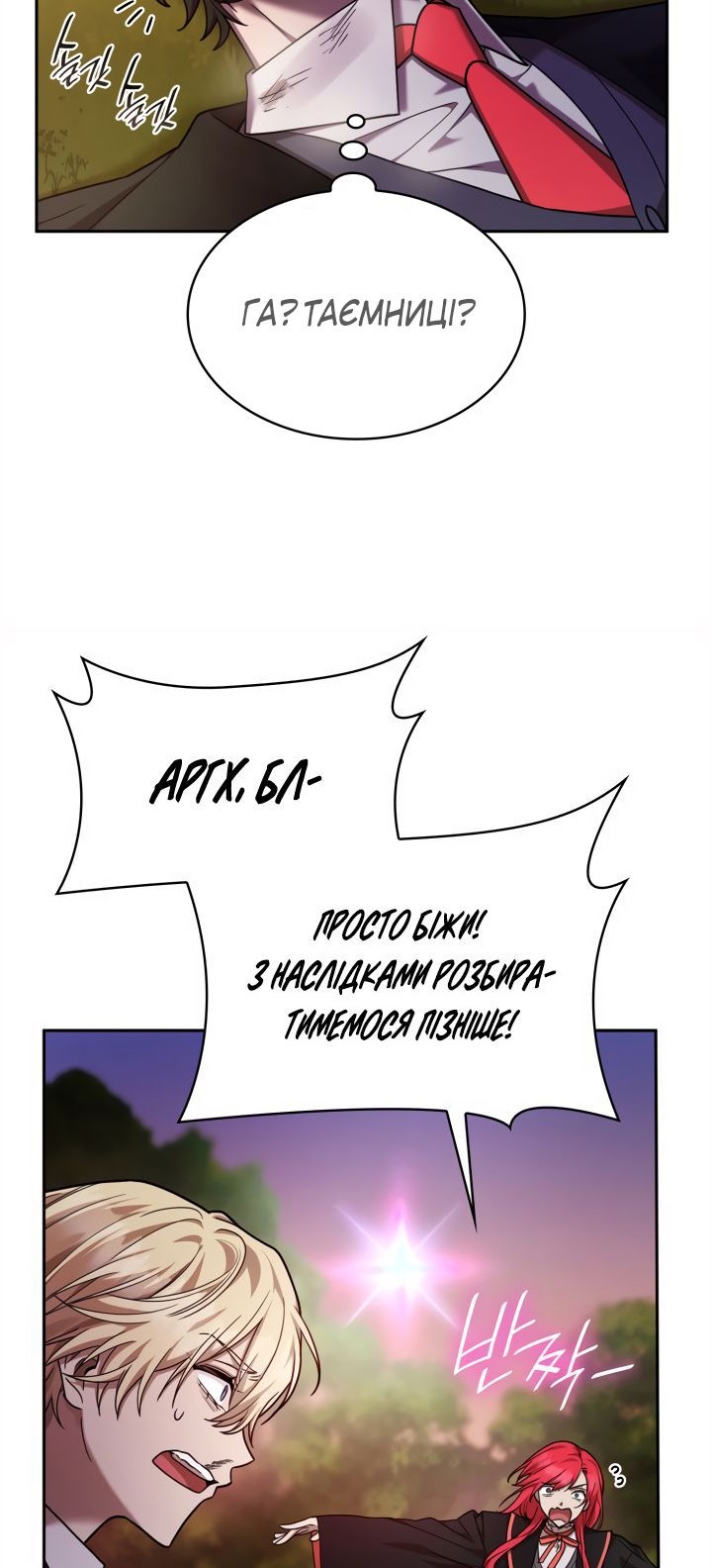 Сторінка 13