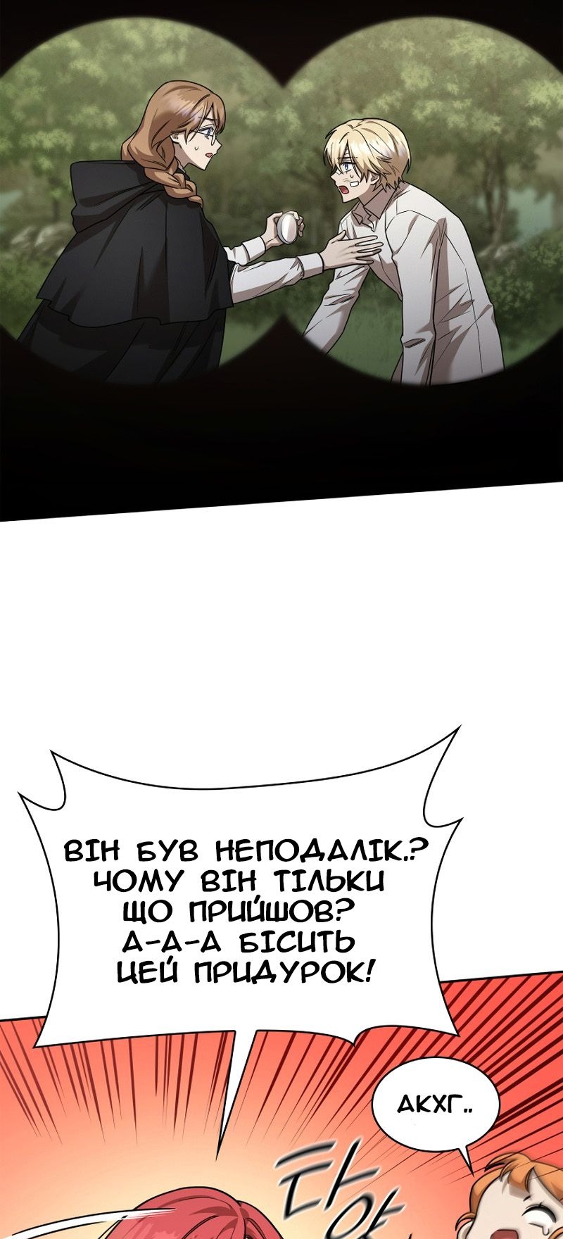 Сторінка 31