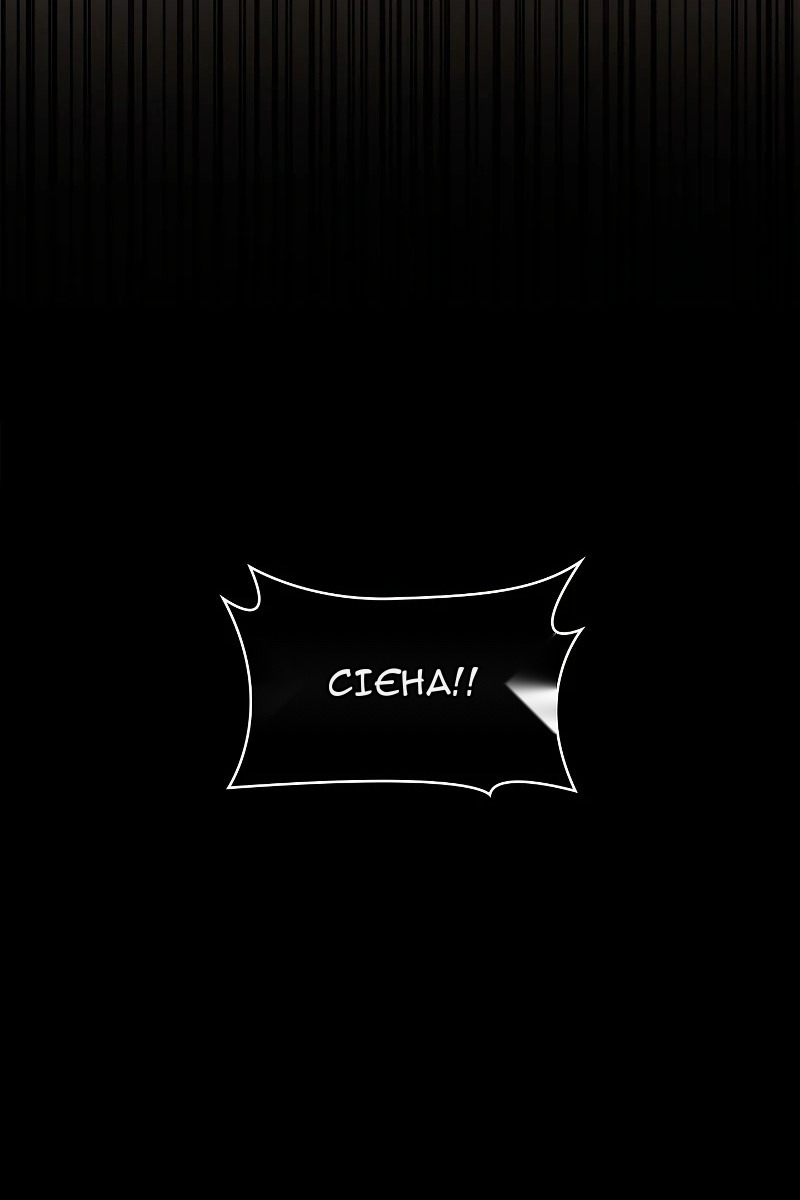 Сторінка 77