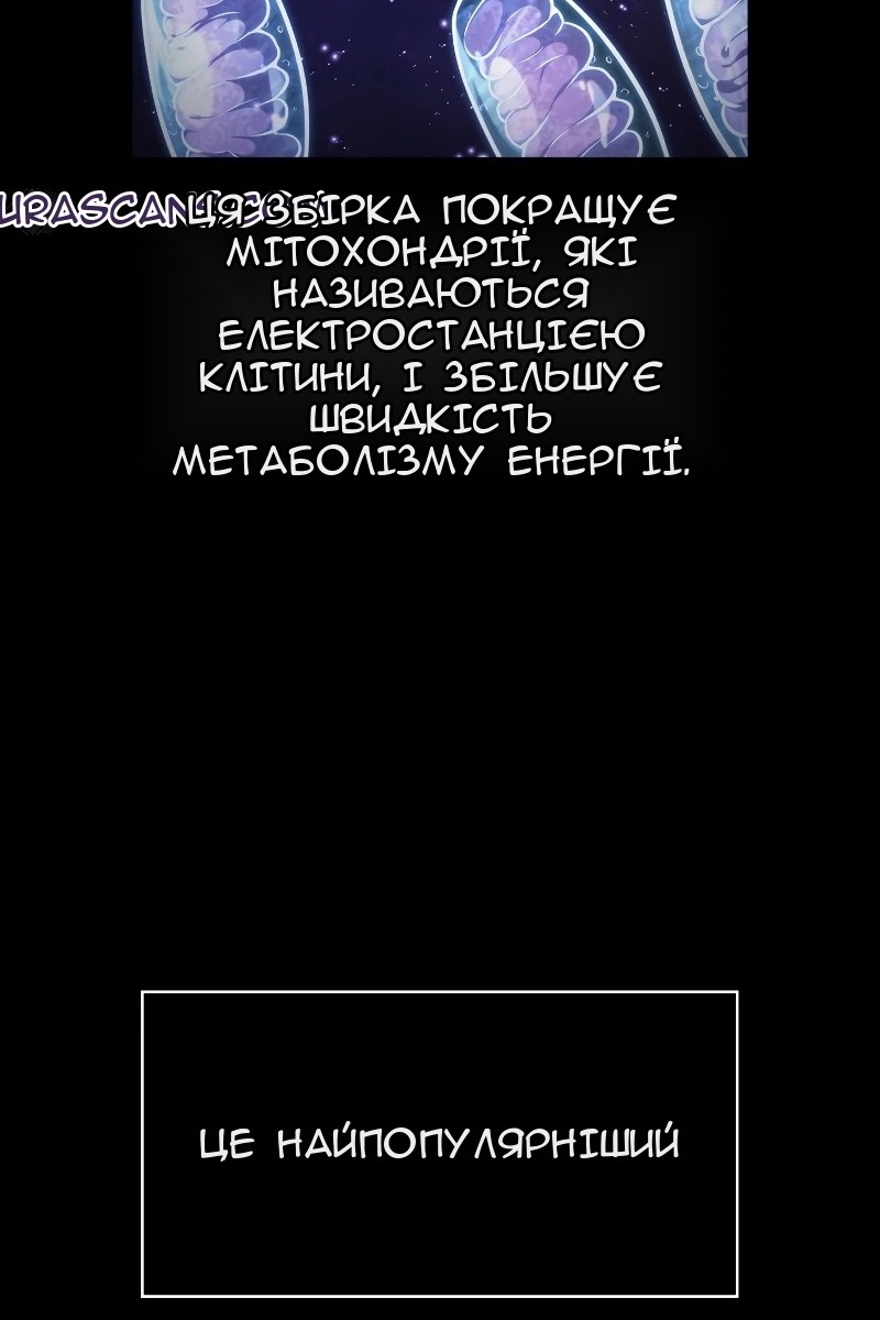 Сторінка 37