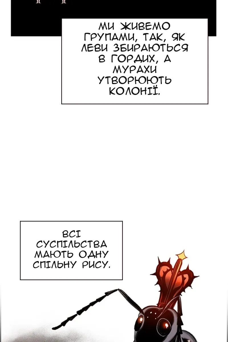 Сторінка 26