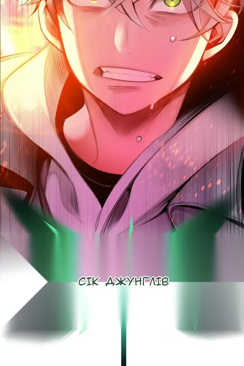 Сторінка 258