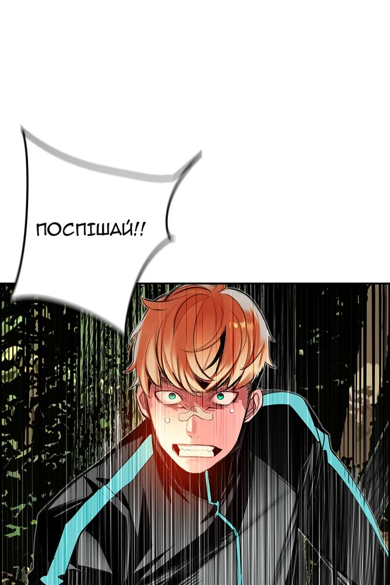 Сторінка 41