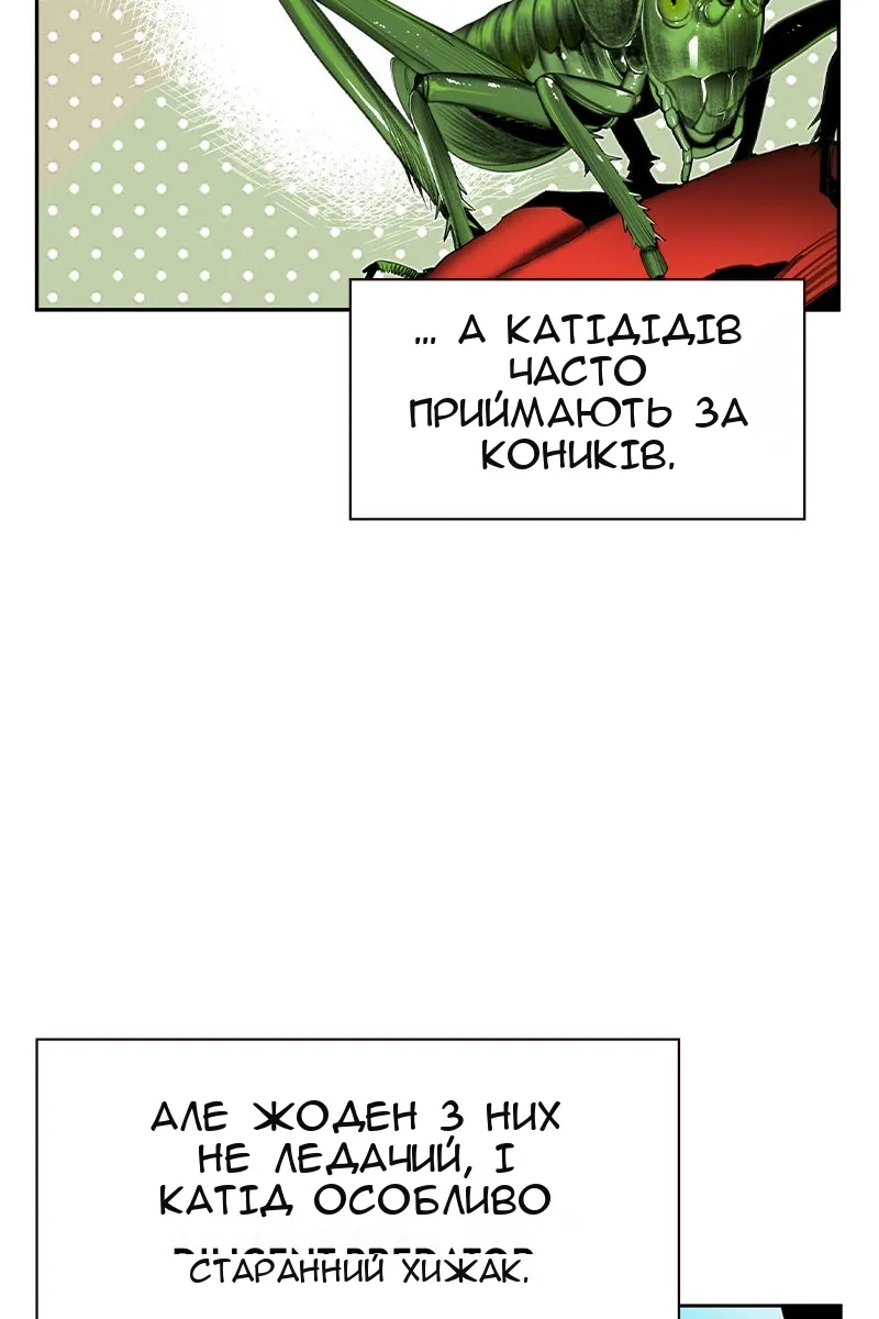 Сторінка 61