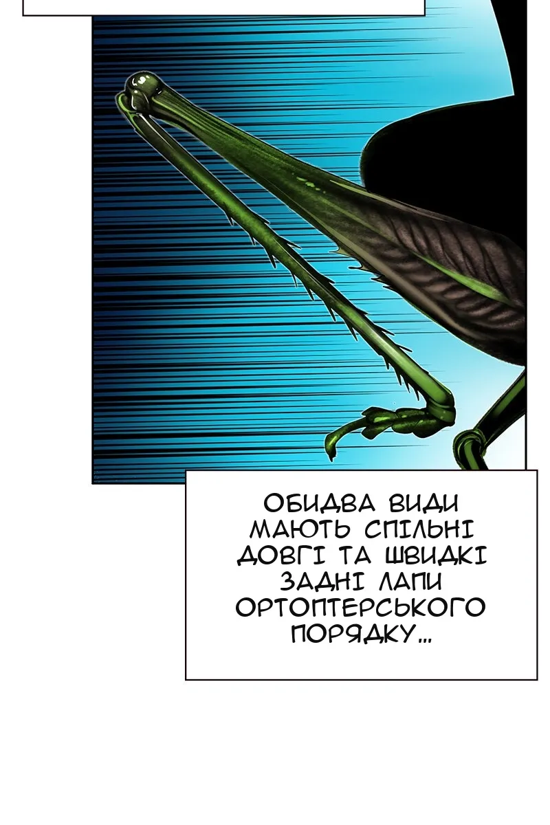 Сторінка 62