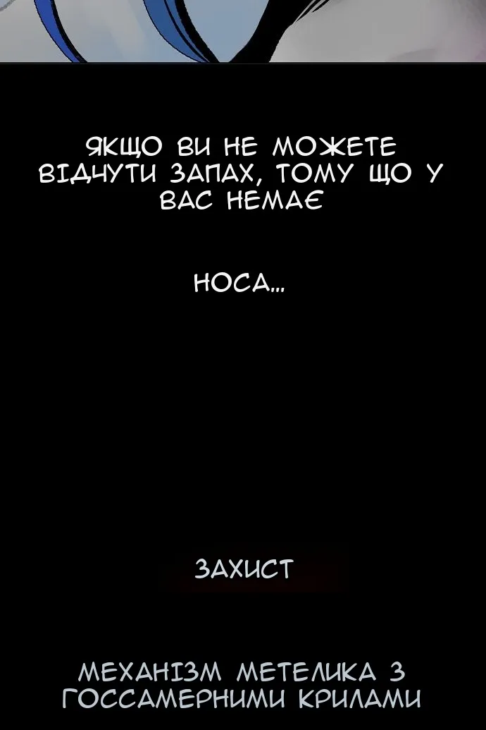 Сторінка 41