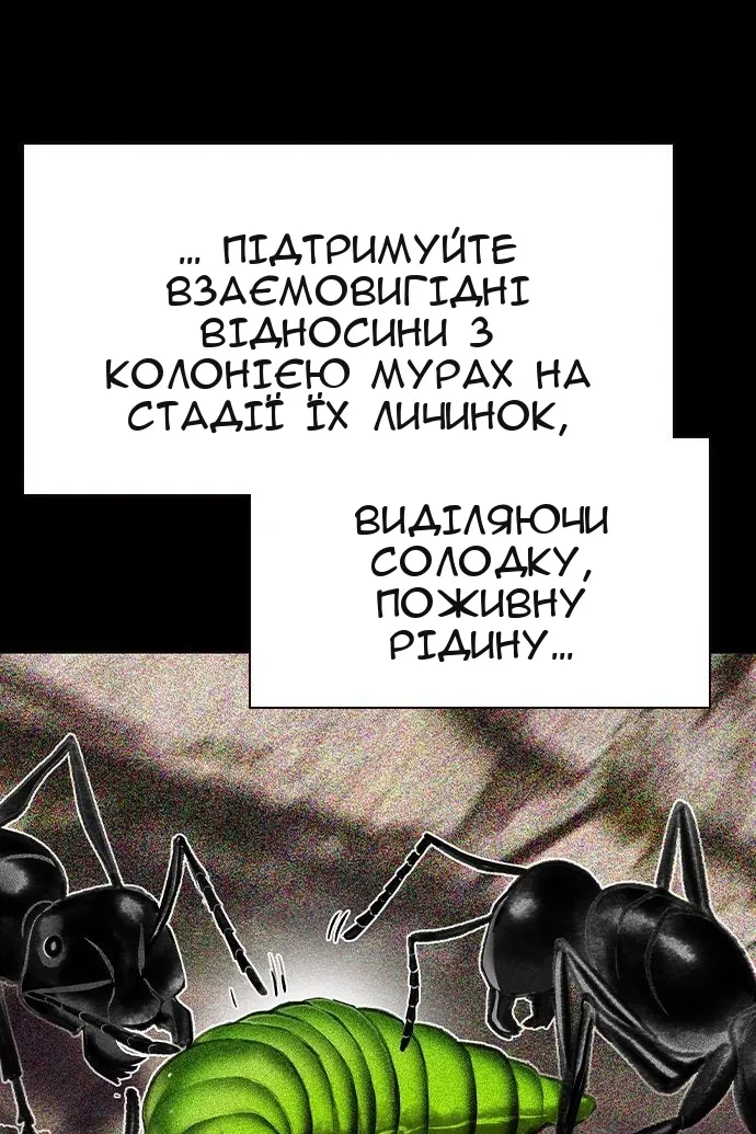 Сторінка 48