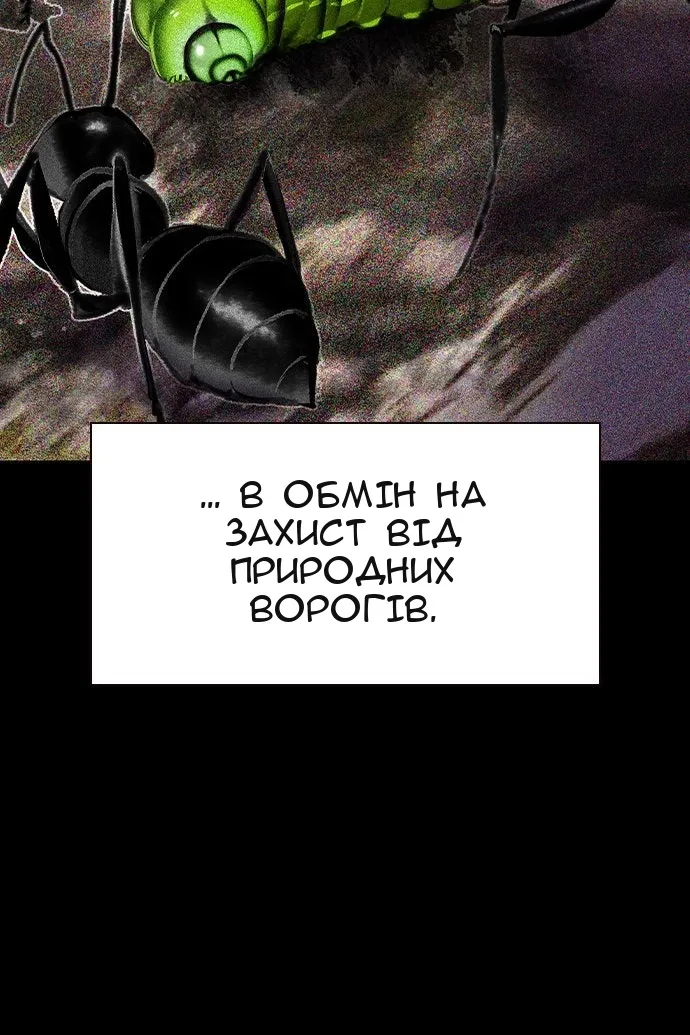 Сторінка 49