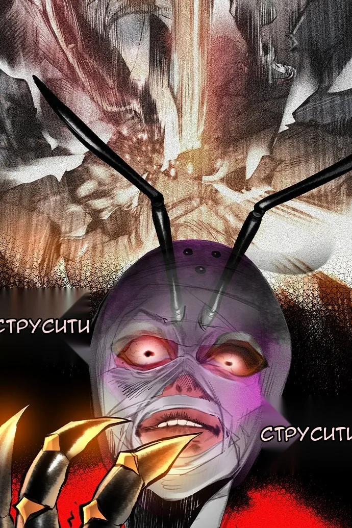 Сторінка 13