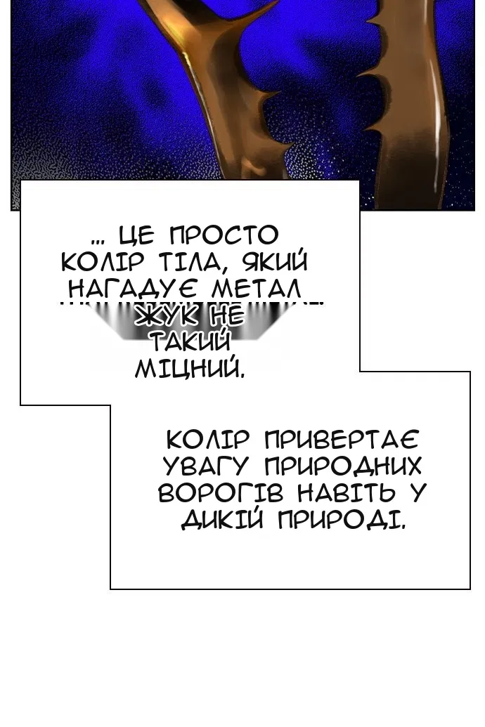 Сторінка 55