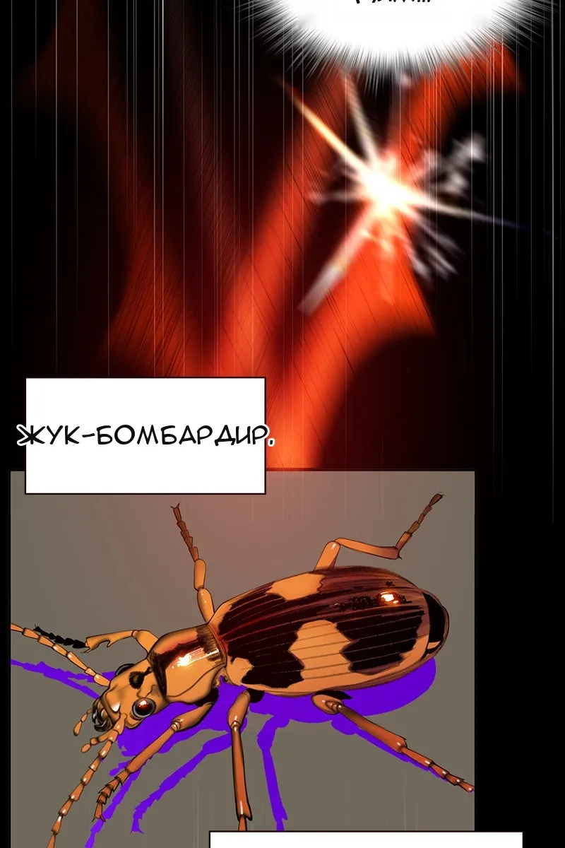 Сторінка 68