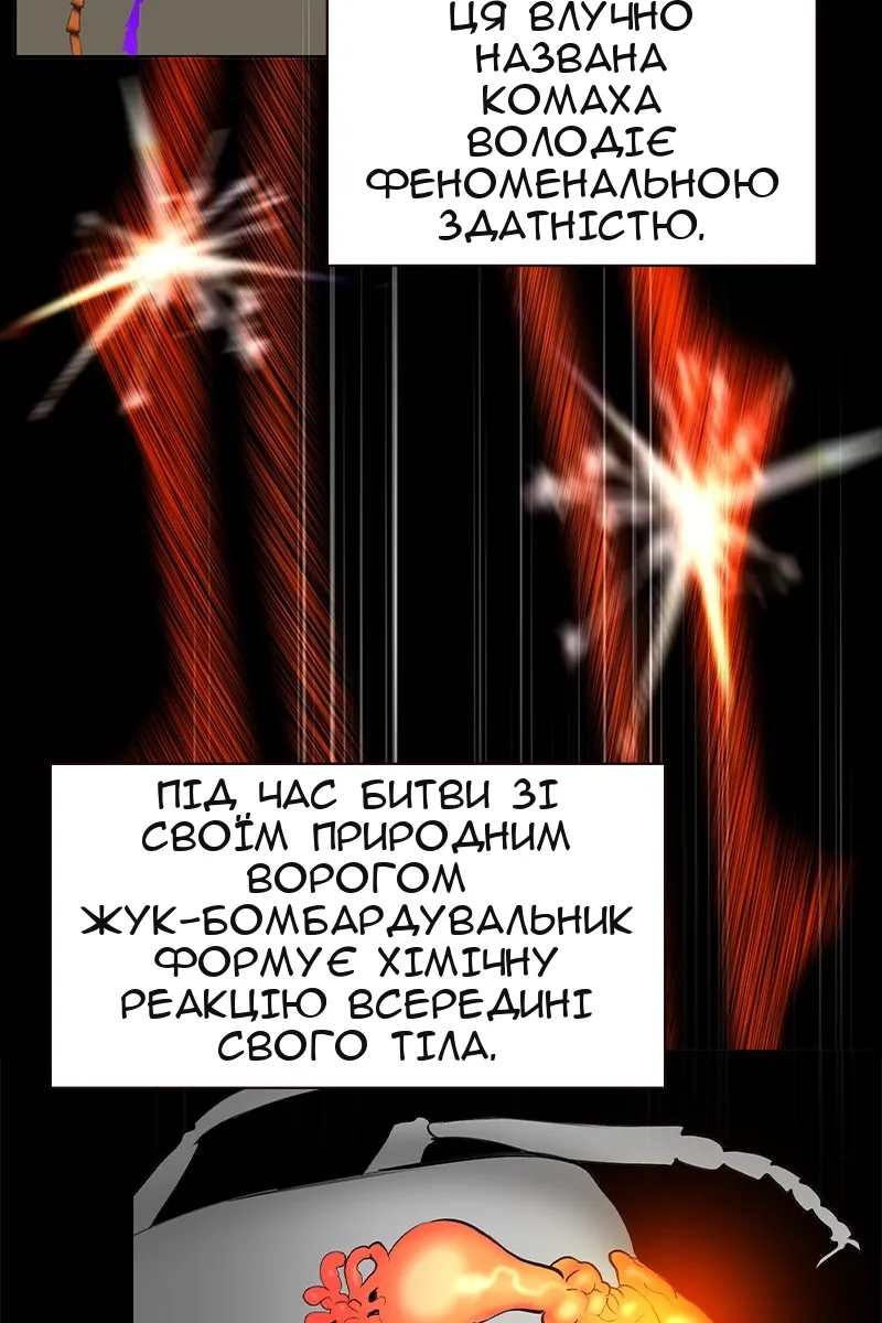 Сторінка 69