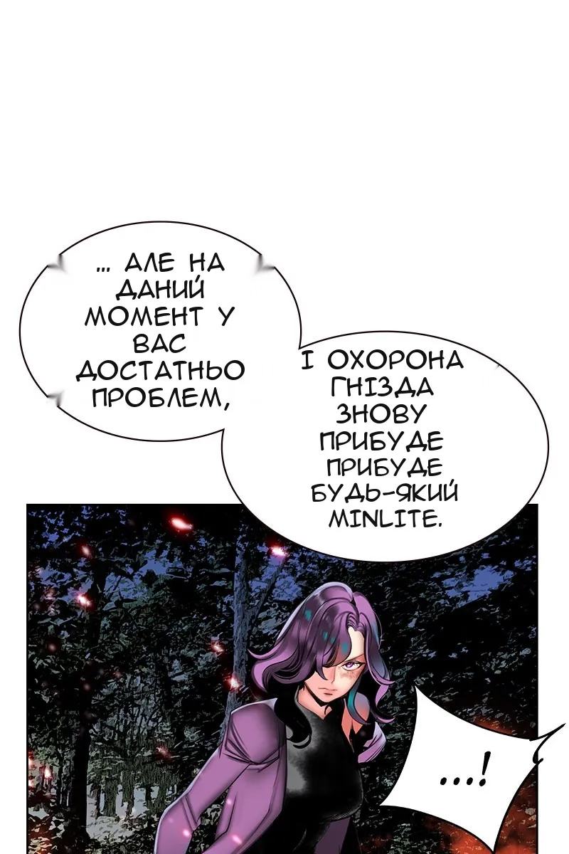 Сторінка 41