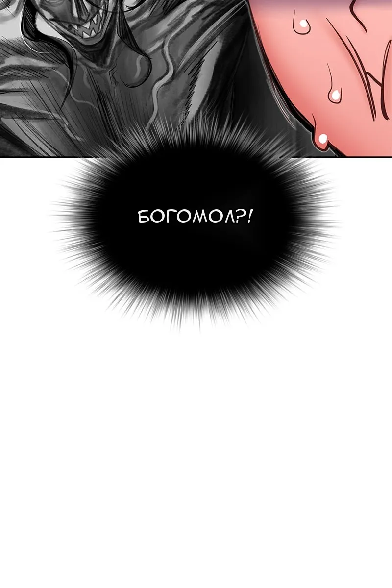 Сторінка 100