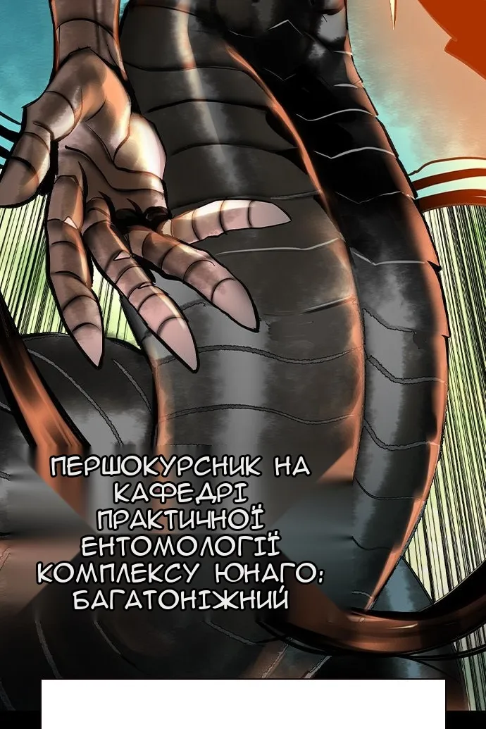 Сторінка 39