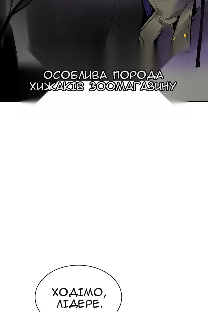 Сторінка 6