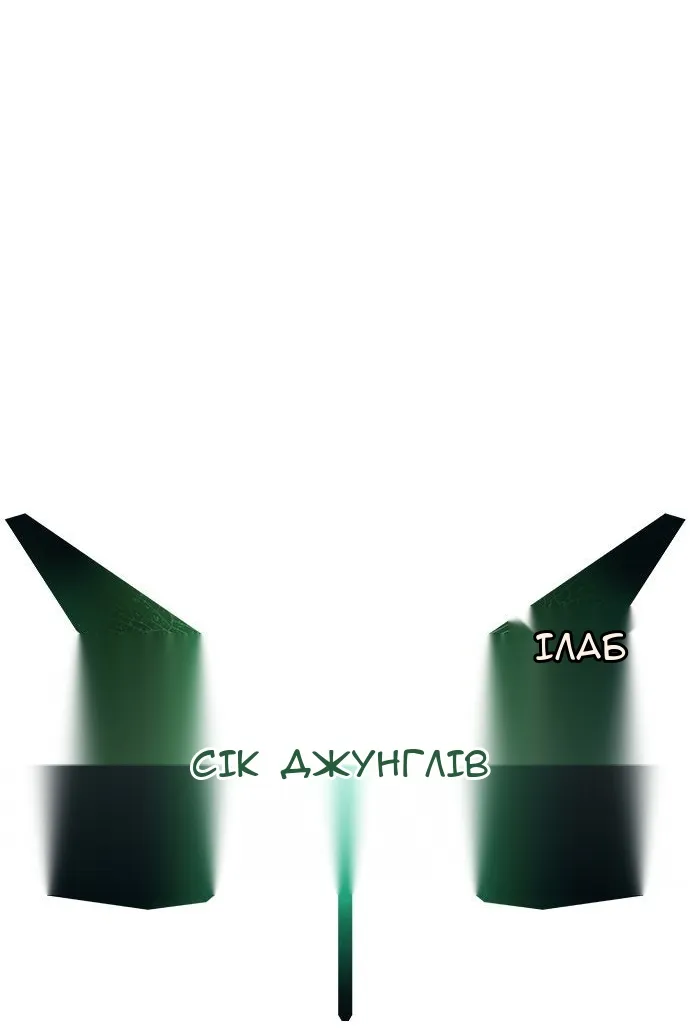 Сторінка 31