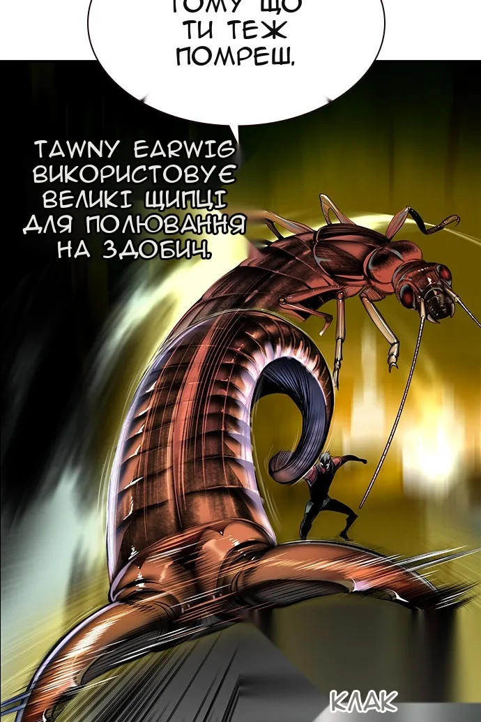Сторінка 15