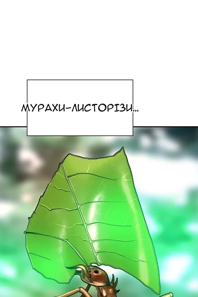 Сторінка 31