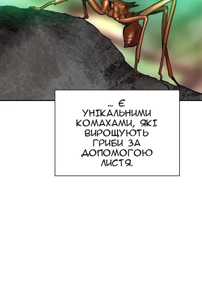 Сторінка 32