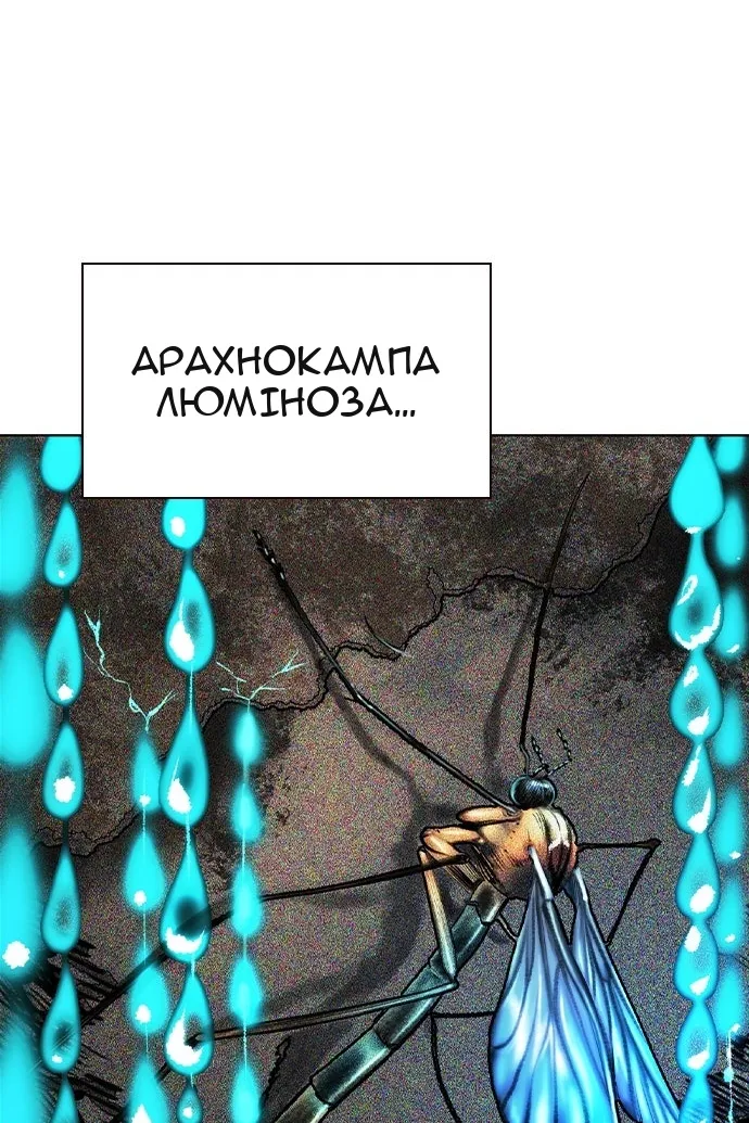 Сторінка 8