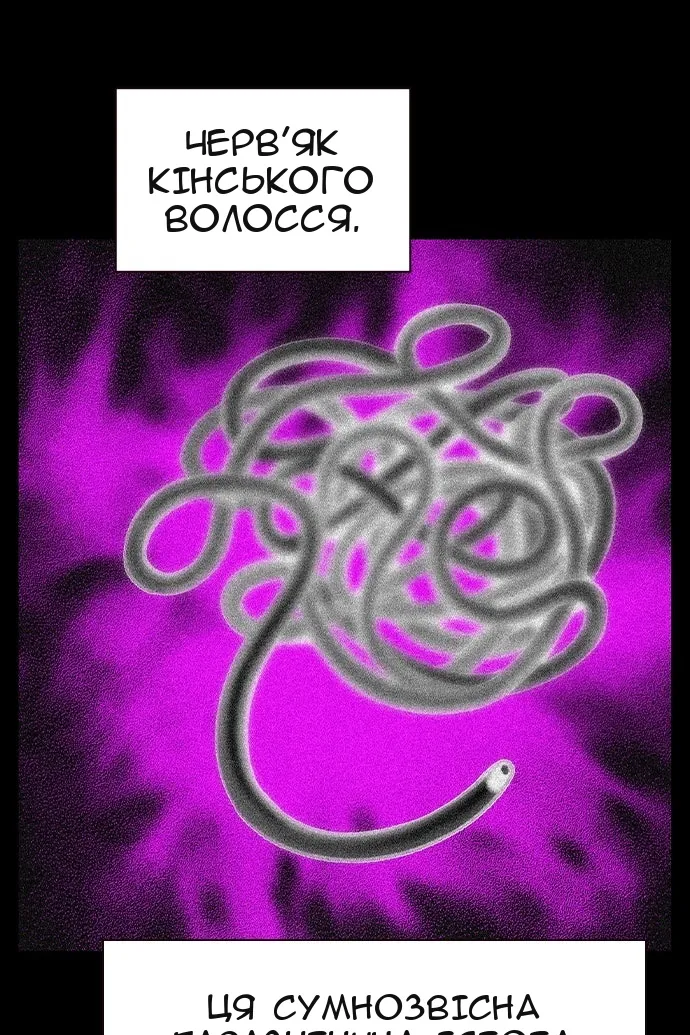Сторінка 49
