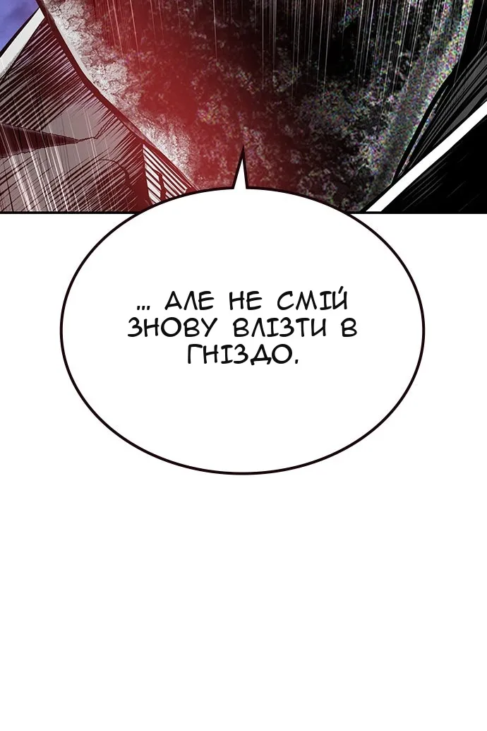 Сторінка 11