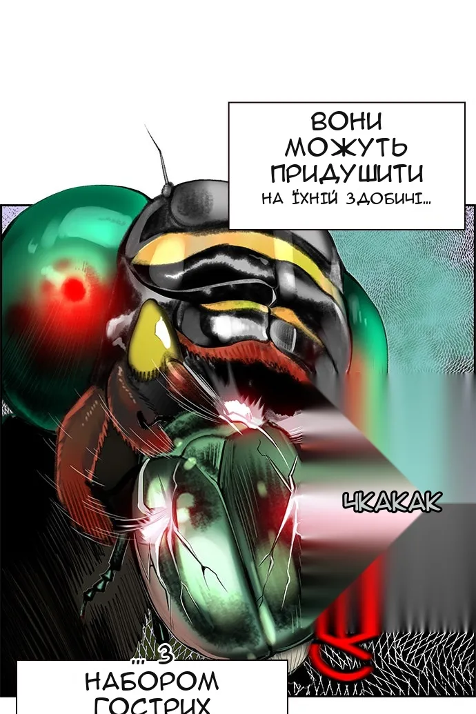 Сторінка 56