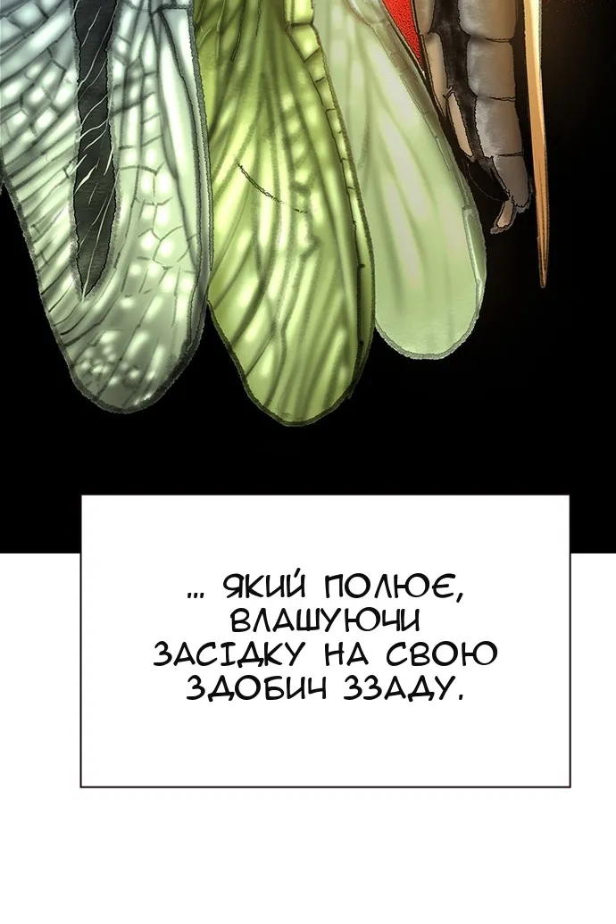 Сторінка 141