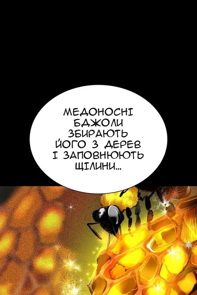 Сторінка 111