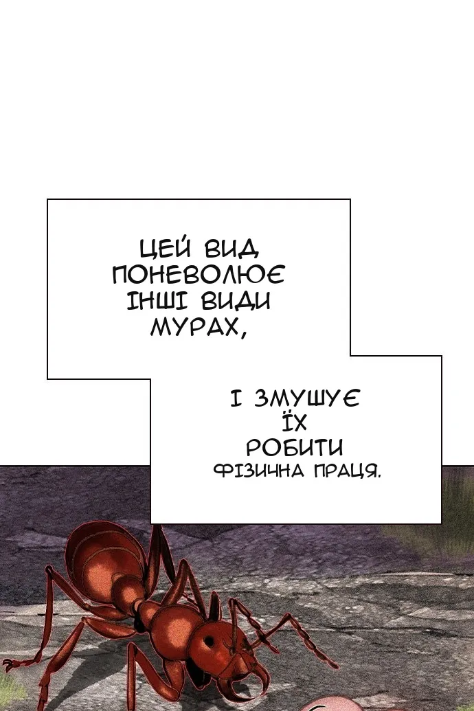 Сторінка 103