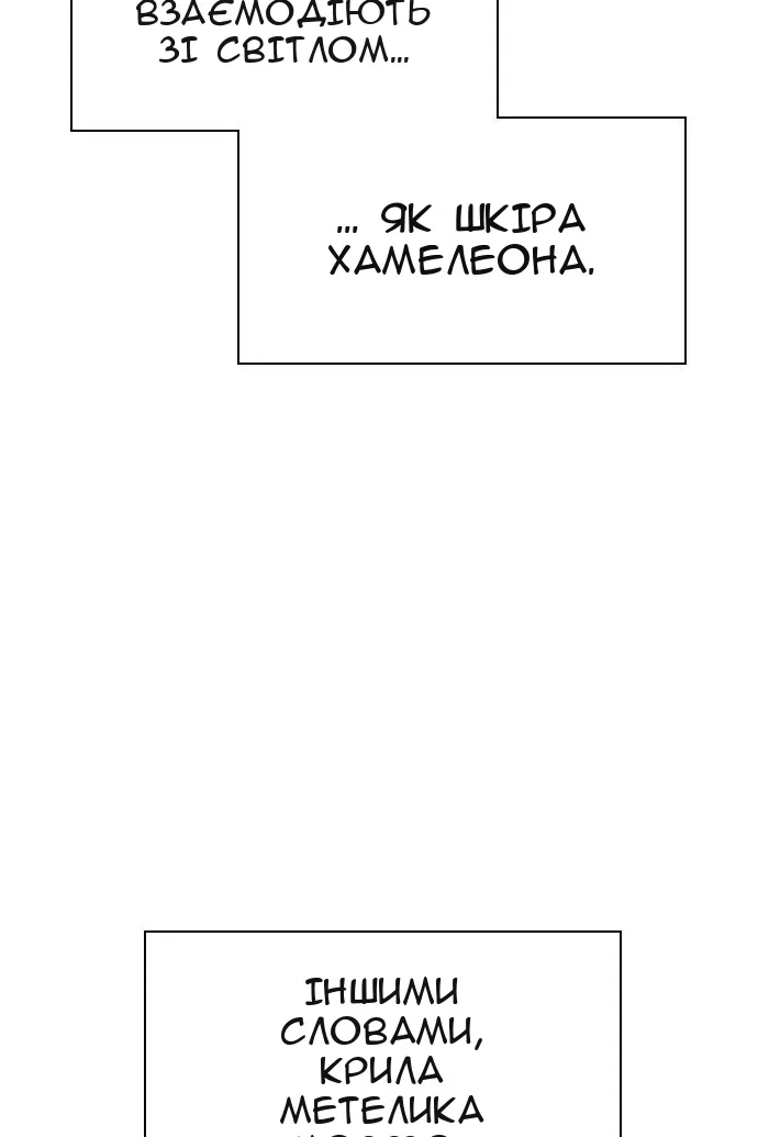 Сторінка 38