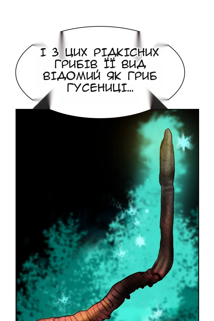 Сторінка 35