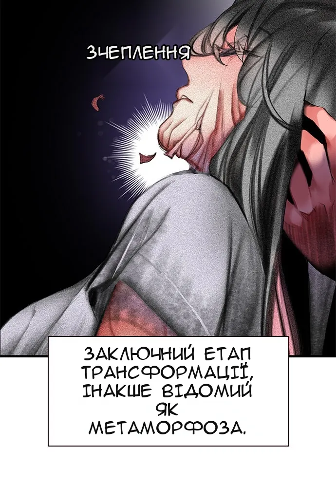 Сторінка 77