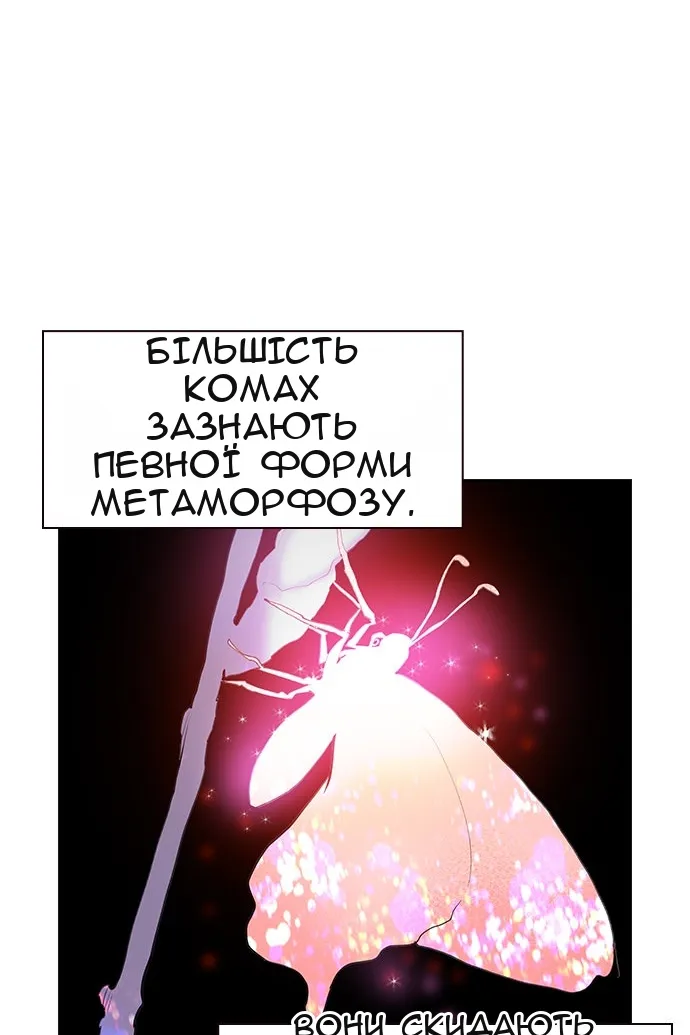 Сторінка 78