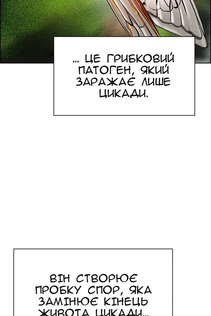 Сторінка 60