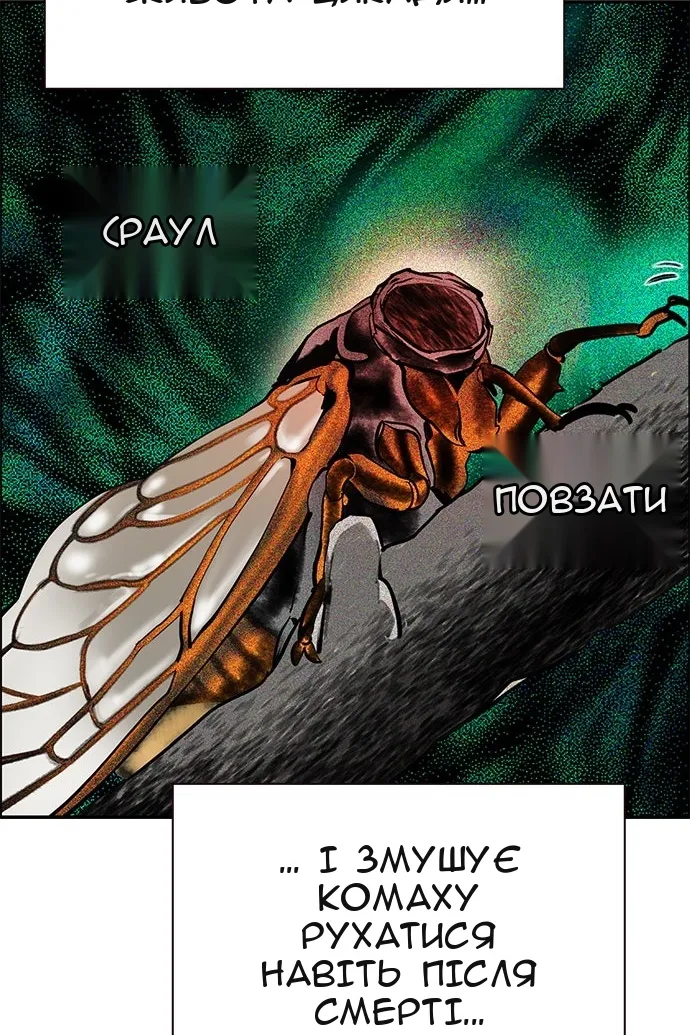 Сторінка 61