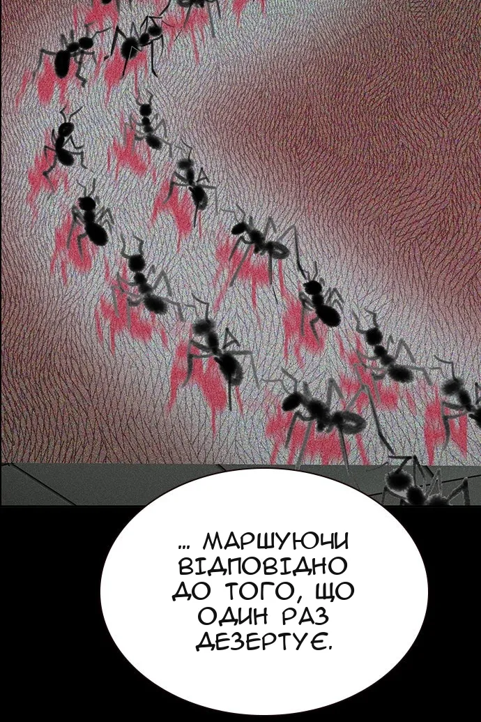 Сторінка 71