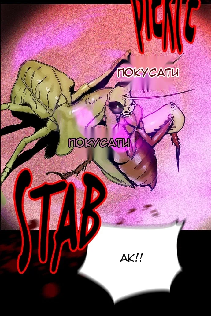 Сторінка 17