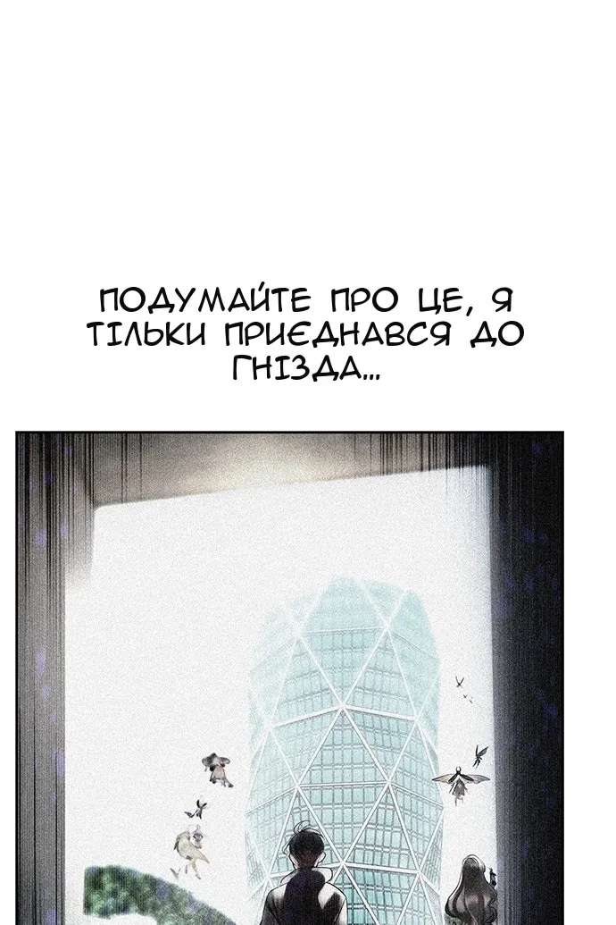 Сторінка 41