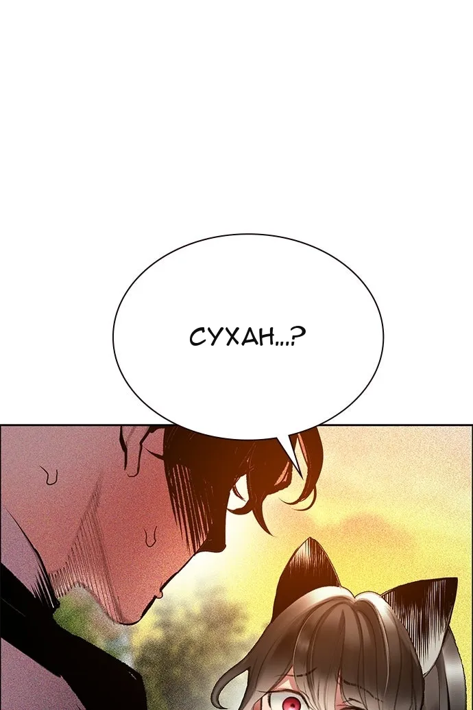 Сторінка 41