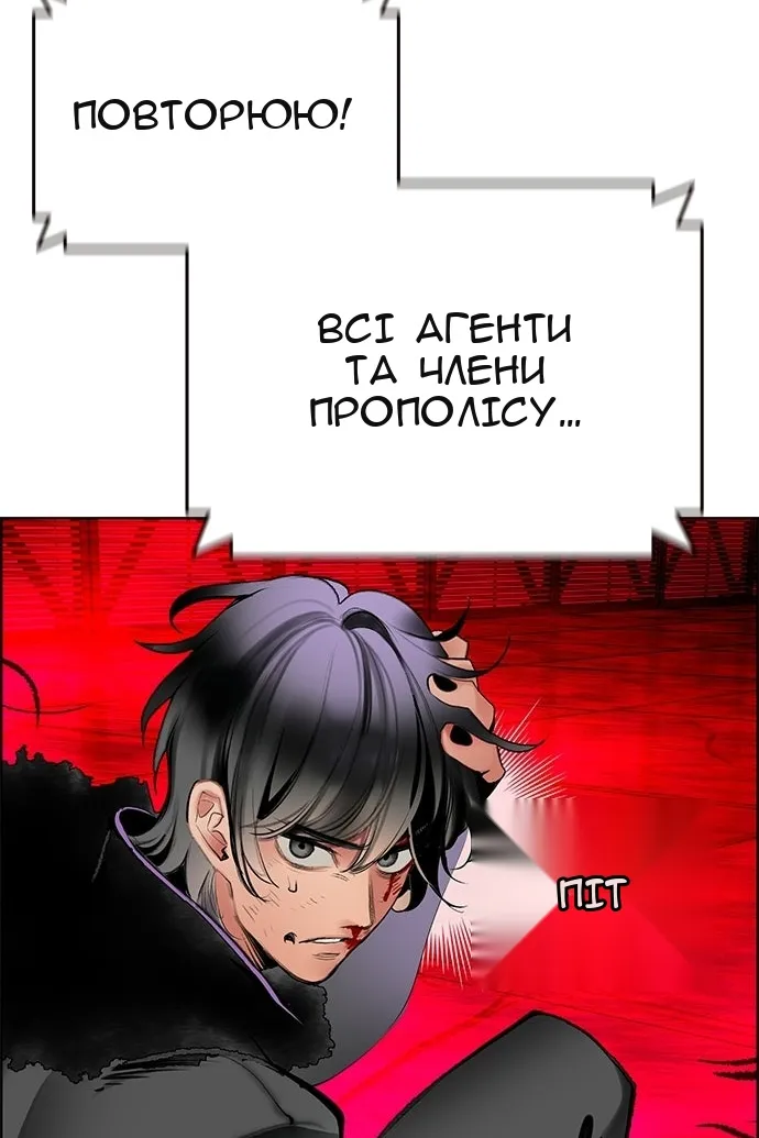 Сторінка 24