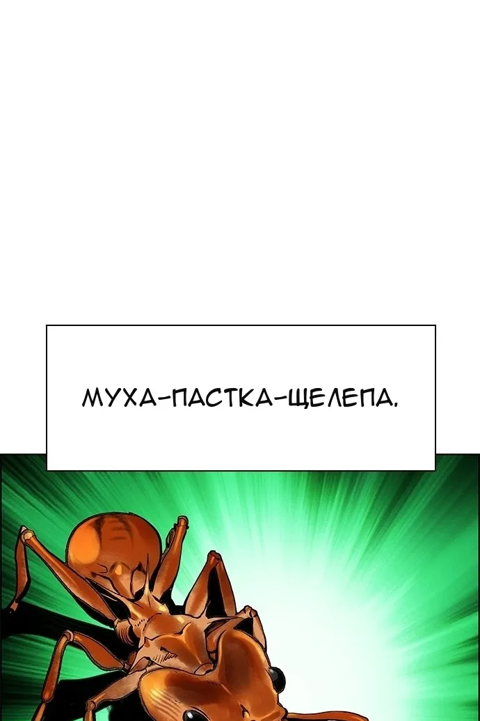 Сторінка 74