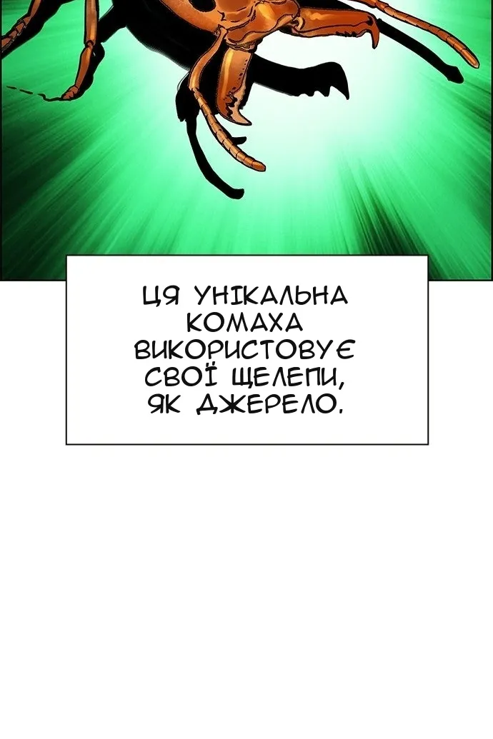 Сторінка 75