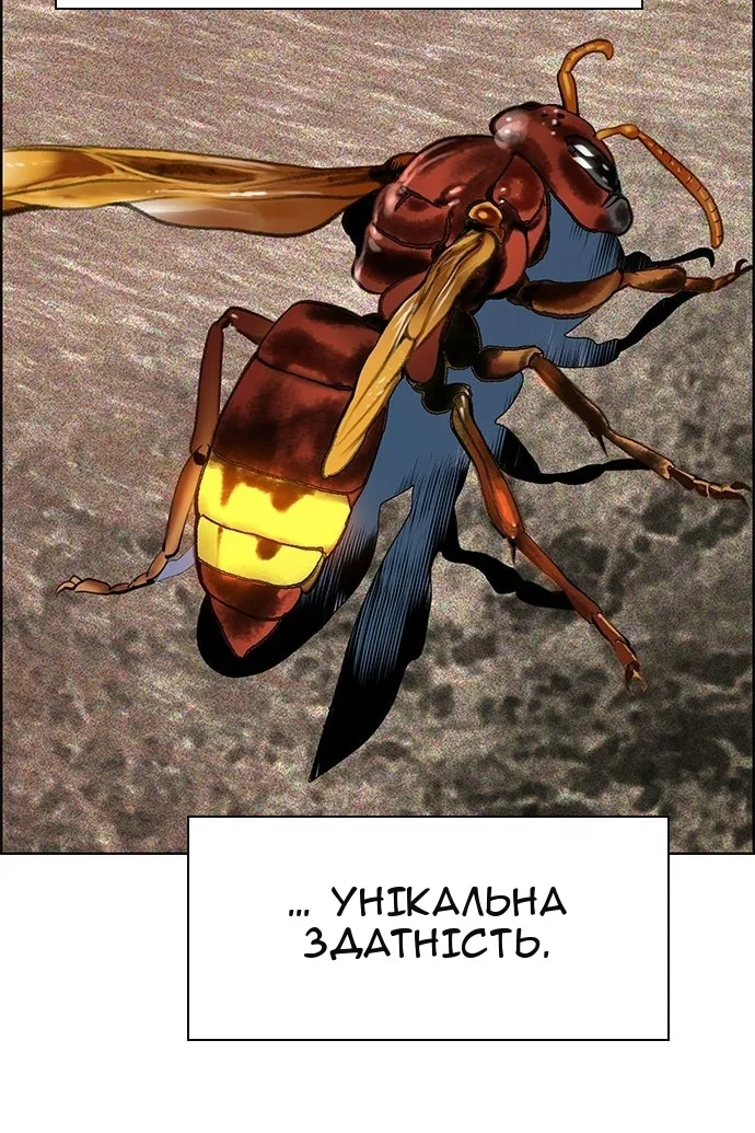 Сторінка 70