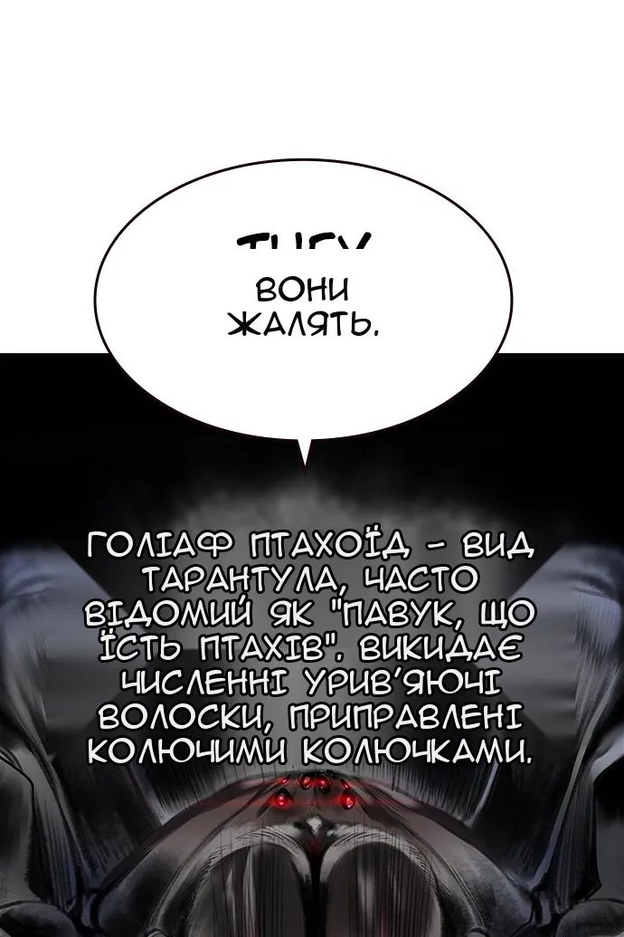 Сторінка 28