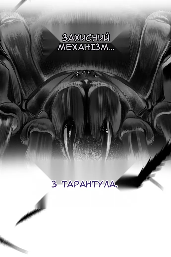 Сторінка 52